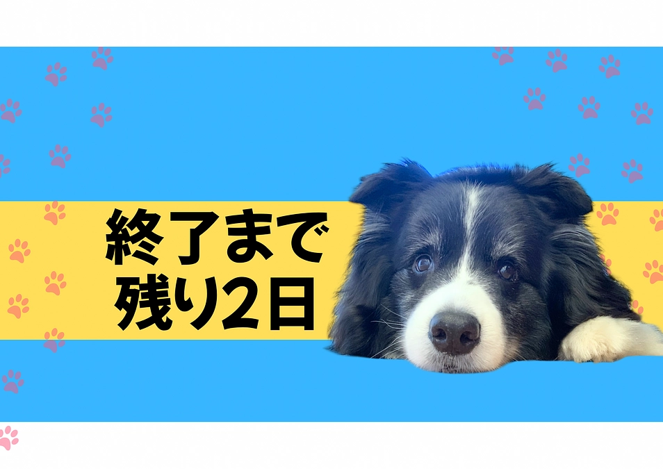 カウントダウンが始まりました…