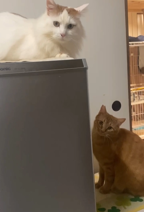 皆さまの想いに、ありがとうを込めて