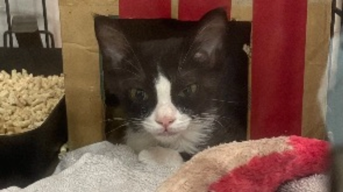 目標金額達成！本当にありがとうございます！！