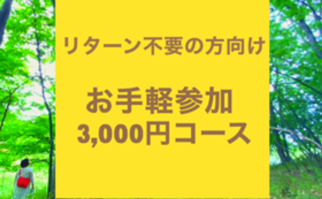 【リターン不要の方向け】3,000円コース