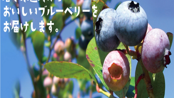 5000本のブルーベリーの木を守れ！岩手の獣害対策プロジェクト！