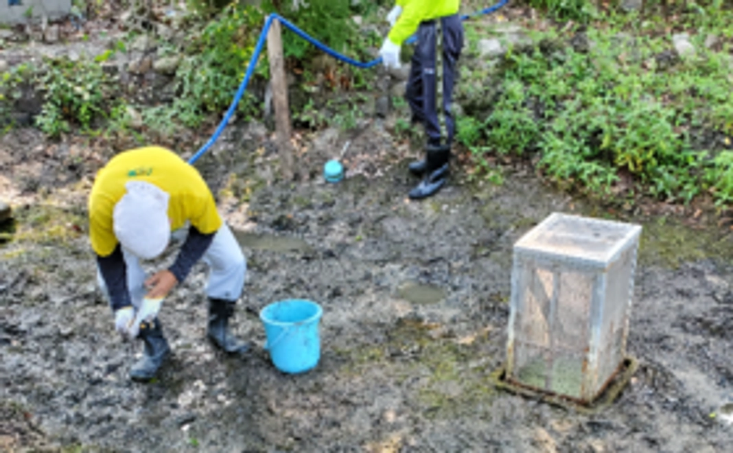 【地域の方・他校先生方推奨コース】「ほたる池復活プロジェクト」参画