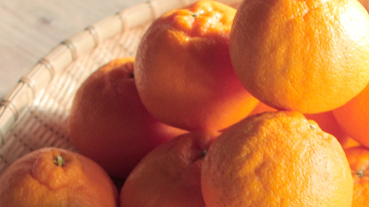 困窮家庭の子どもたちへ、栄養たっぷり減農薬デコポンを届けたい