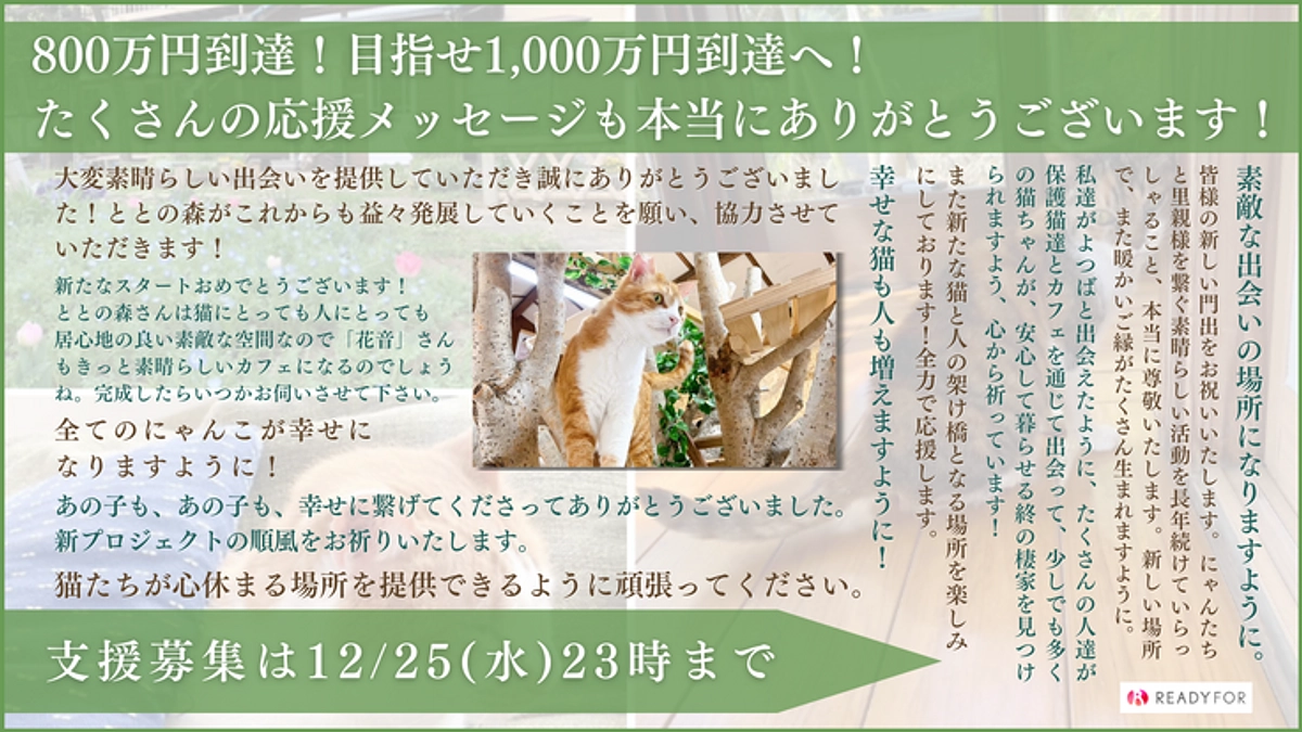 【第一ステップの800万円到達！】ネクストゴール達成に向かって、一緒に動いてくださる皆様へ！