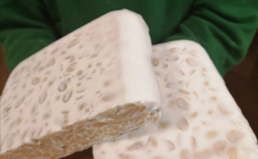 １．ご支援へのお礼と、手作りテンペ認知向上活動実施メール