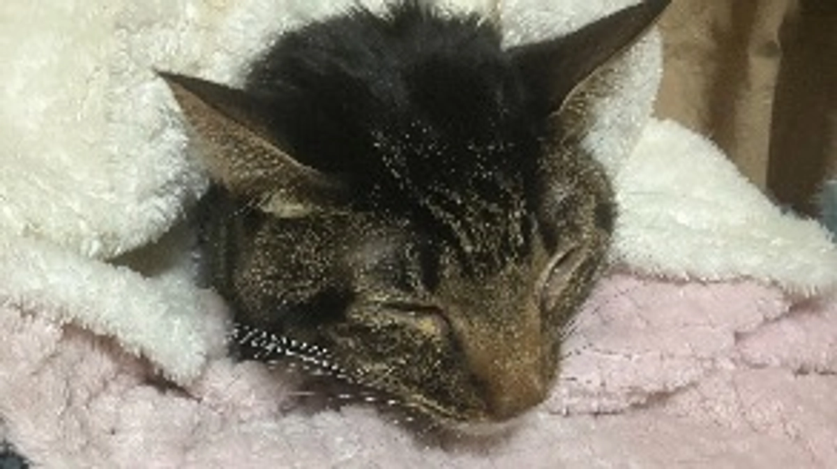 近況報告&ご支援の感謝