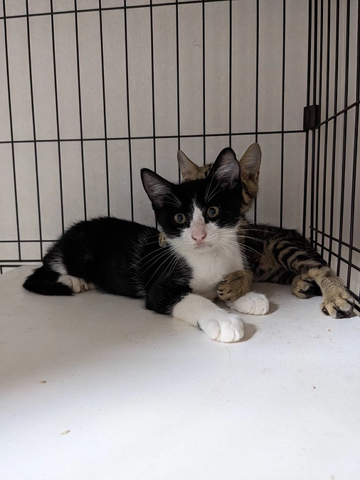 第７久米島T回NR.TNTAプロジェクト実施中【No.3】