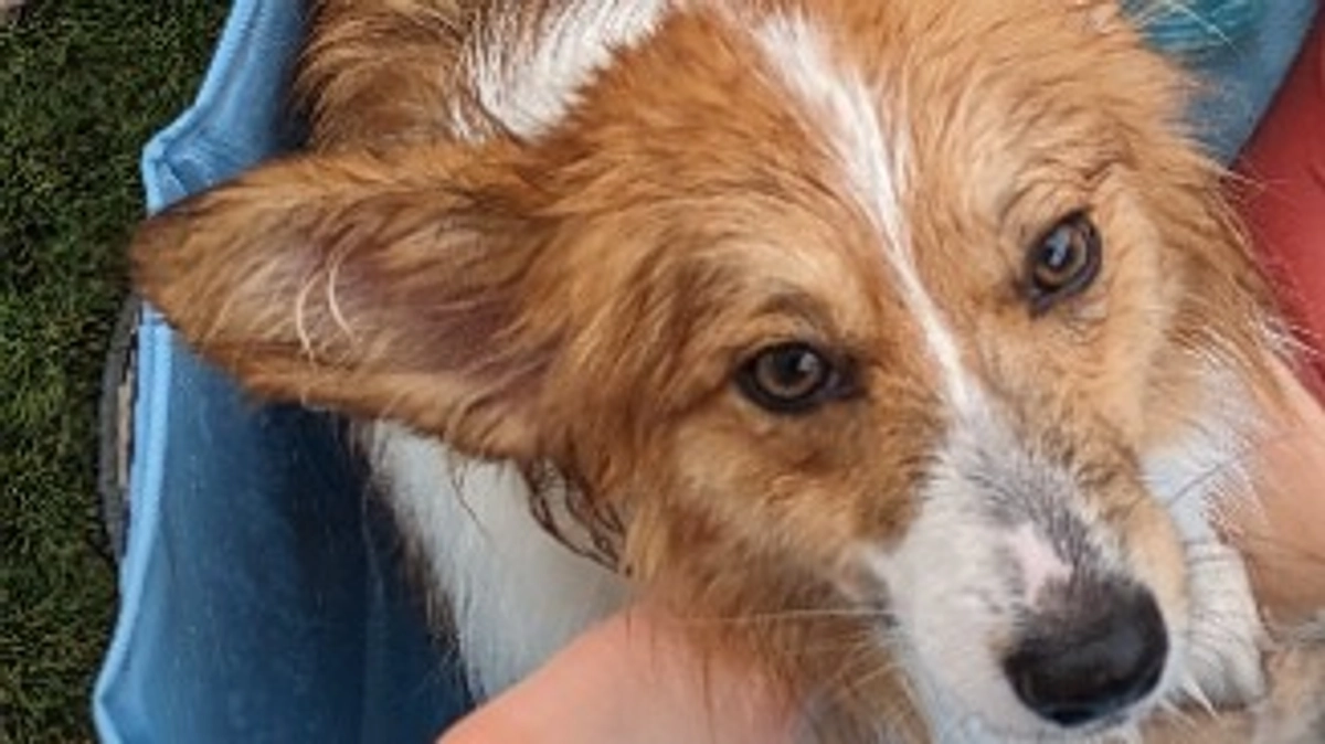 今日のメイちゃん