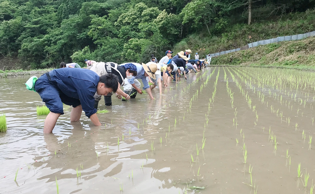 雲耶 1週間お試し移住+田舎体験（1人）