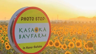 街を元気にする為の地域情報ポータルサイトをつくりたい！ のトップ画像