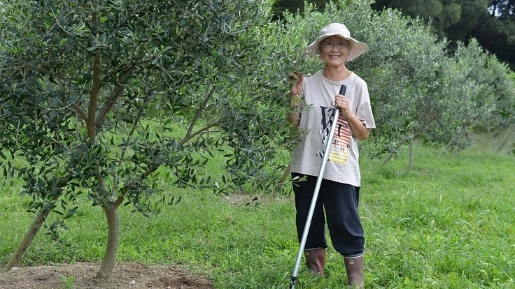 小豆島・田浦のオリーブ畑を使って子育ちの「だんだん塾」を開きたい