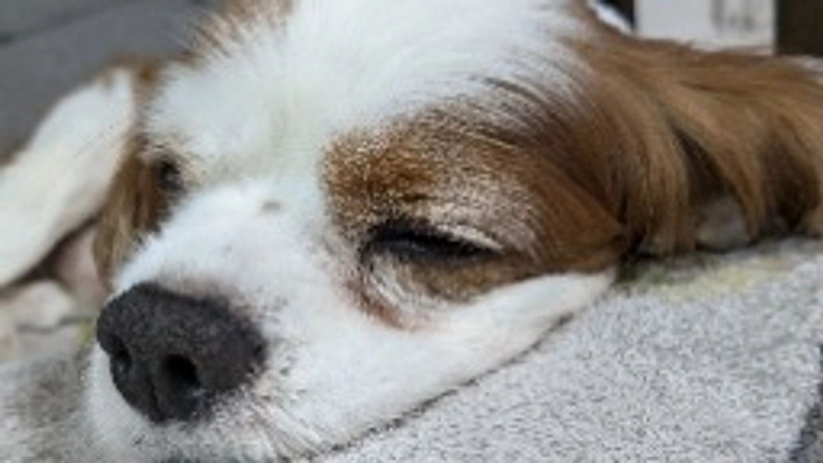 2ヶ月間ありがとうございました🙇‍♀️