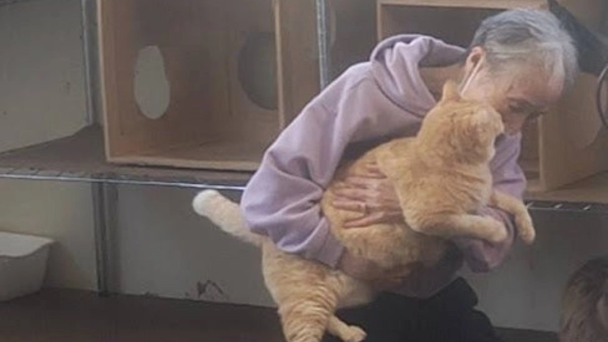 待ちに待った日。両腕に『ももちゃろう』を包み込んで話かける飼い主さんと静かにお返事するももちゃろう。