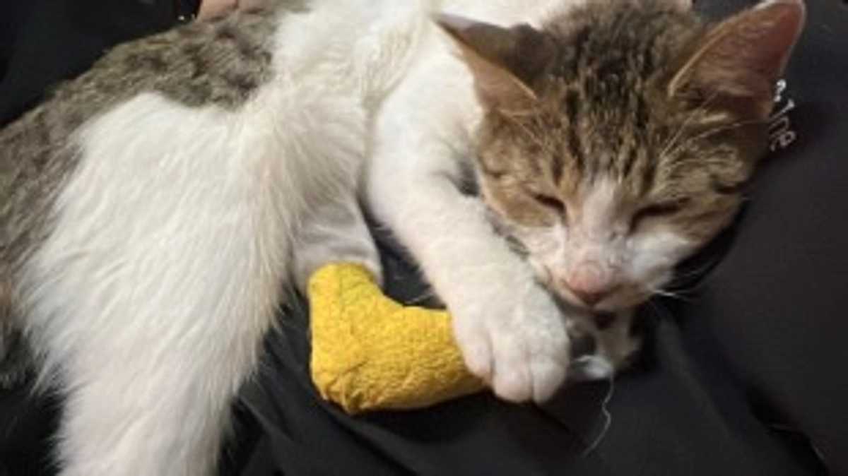 10月21日　通院1回目