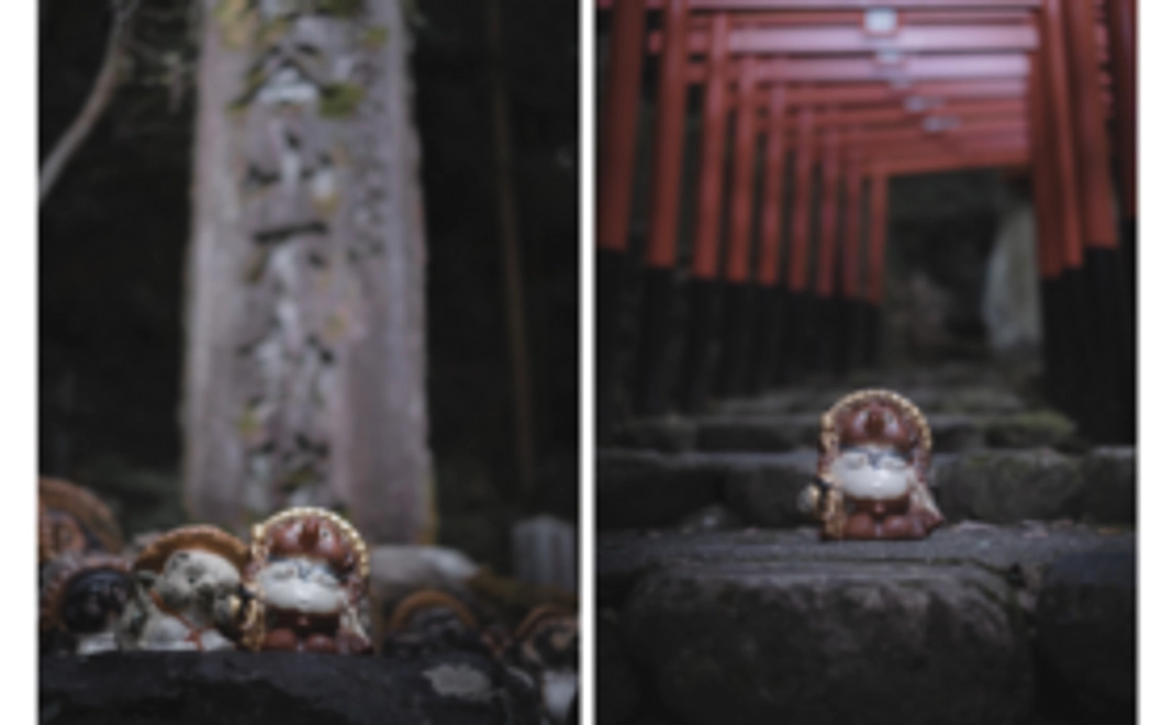 C｜【おすすめコース】NFTお守り（狸信楽焼）