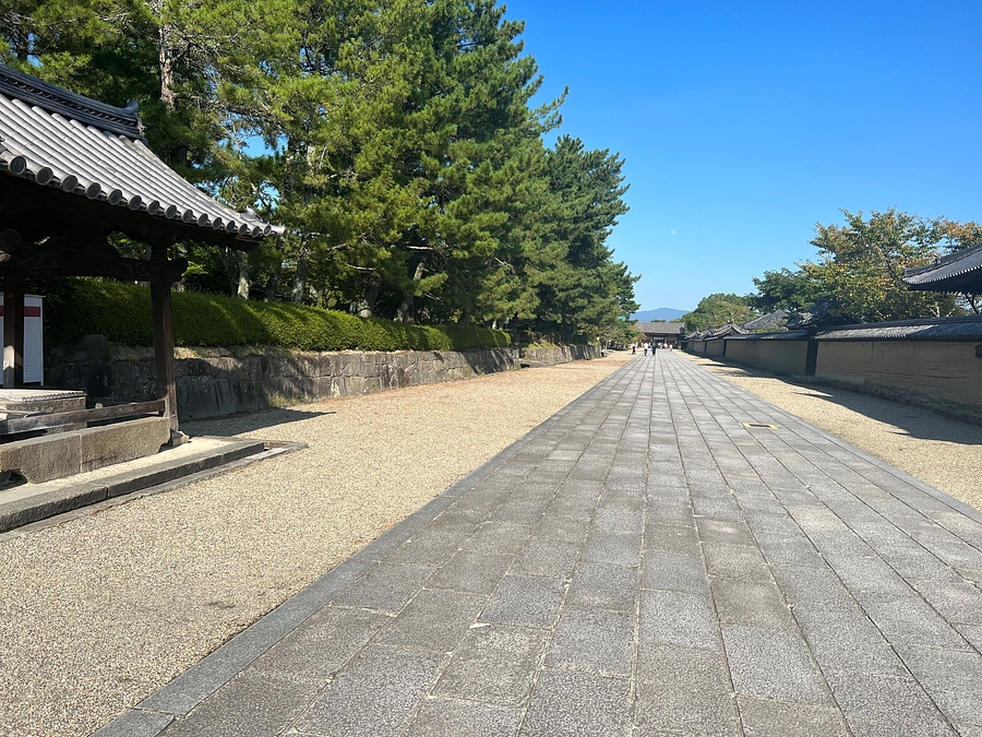 CF開始１カ月のご報告