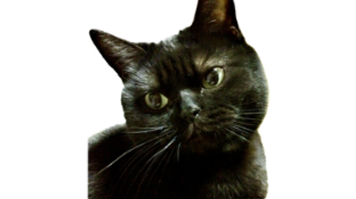 募集期間残り1ヶ月を切りました