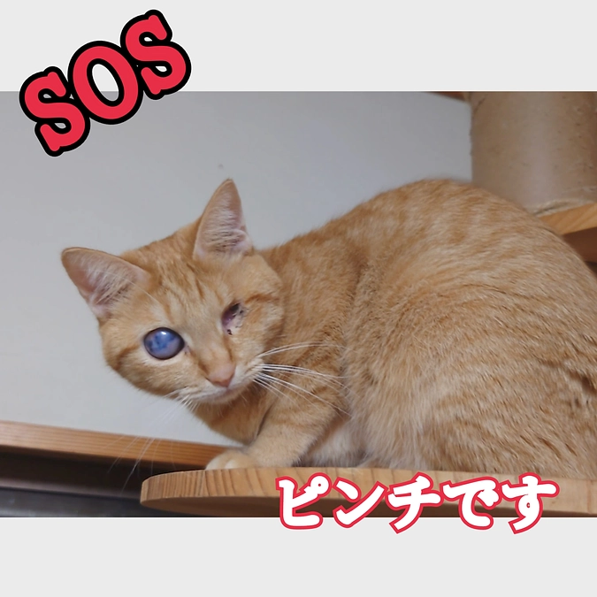 年度末、各支払いが滞りそうです💦