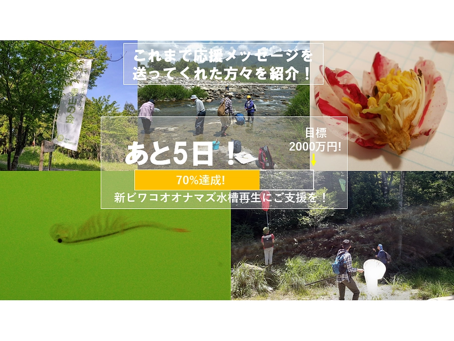 【クラファン終了まで残り5日】これまで応援メッセージをお寄せ頂いた方々のご紹介⑤