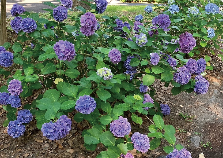 第10回口頭弁論が開かれました