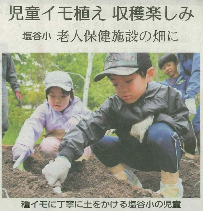 イモ植えをする塩谷小学校の児童の記事が北海道新聞に掲載