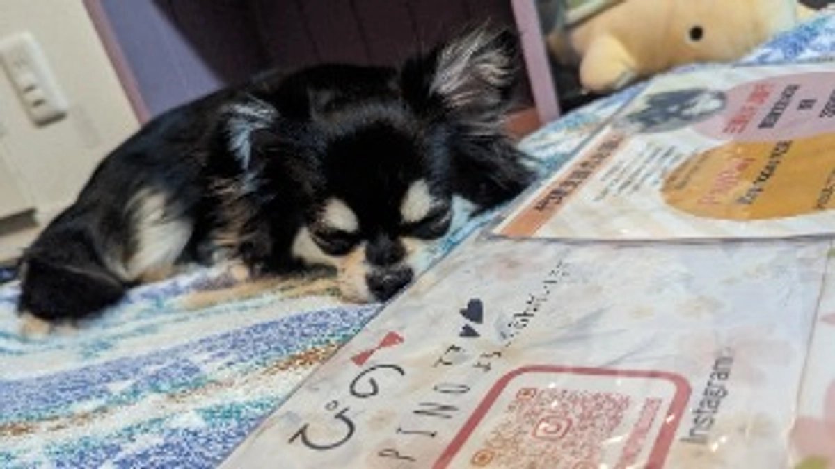 残り9日…必ず達成できるよう頑張ります！