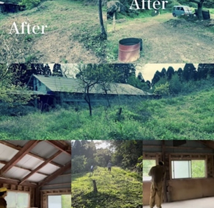 プロジェクト終了を待ちきれず！猫山の整備をスタート❣