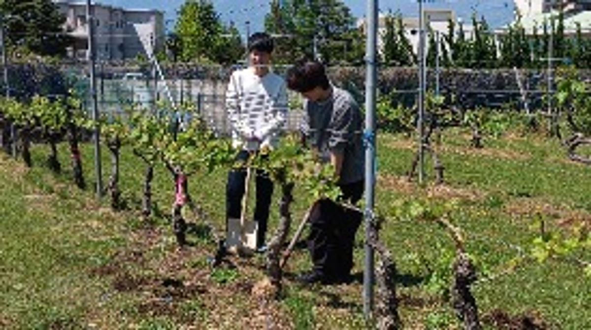 【中間報告】クラウドファンディング第二弾、第一目標達成！残り30日、引き続きのご支援をお願いします！