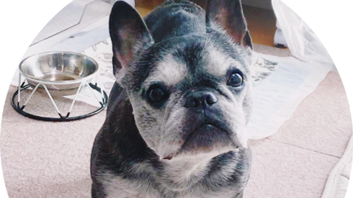 代理支援について