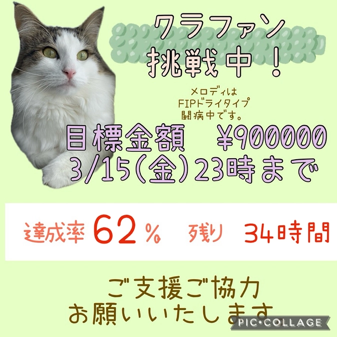 🆘進捗状況😖💦