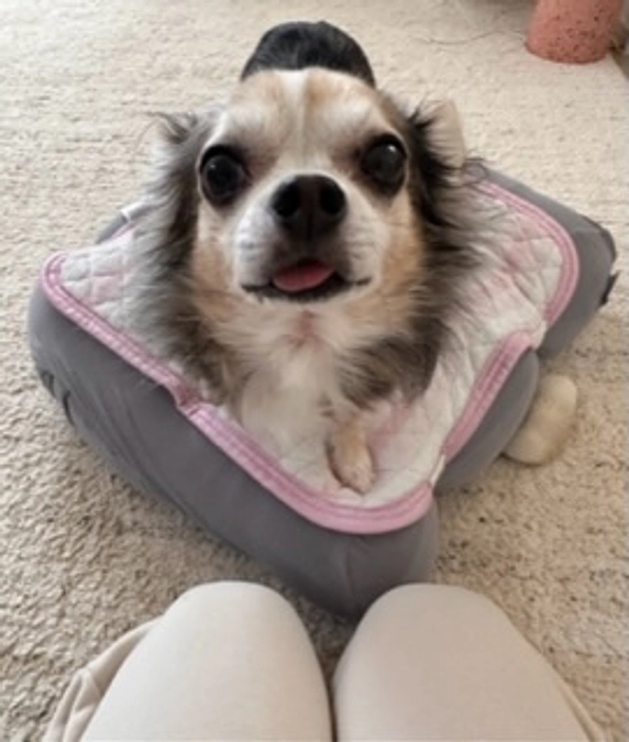 ご支援金額が70万円を超えました🙇💦