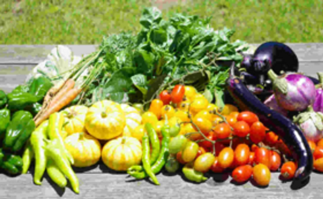 ▼有機JAS・カレー野菜セット＋スパイス【４~５食分】＋米５kg▼