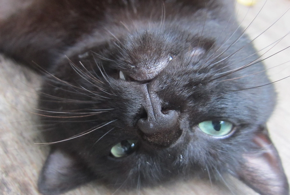 ゴールデンウイークとは言っても.....。