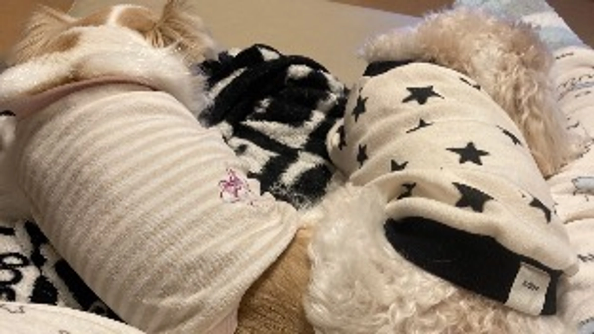 達成率50%となりました！