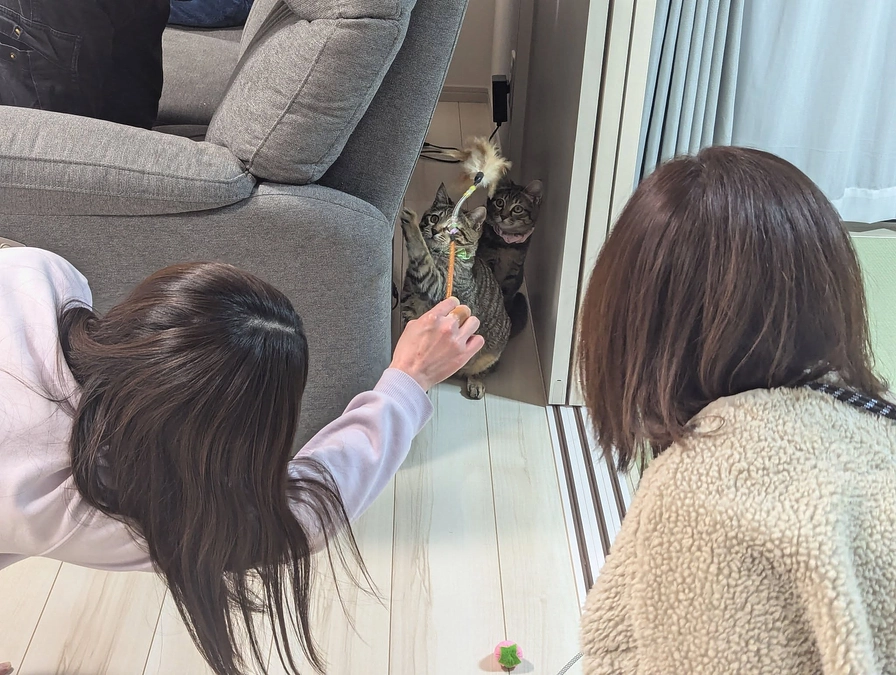 ２月５日は、きんとんとかずのこのお届けでした♪