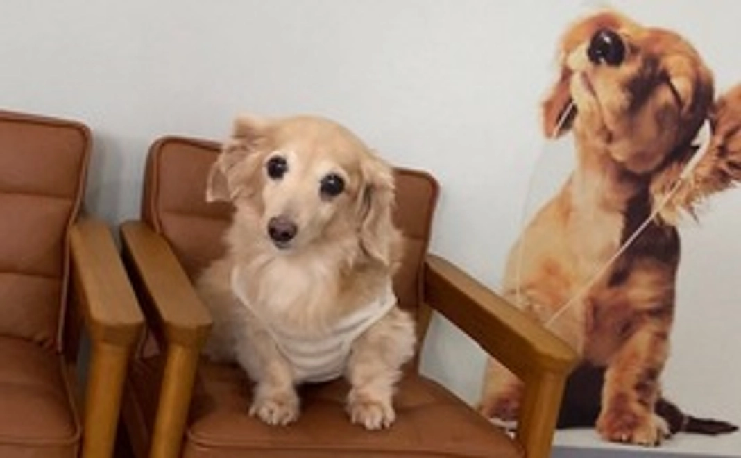 モコサポートメンバー【A】