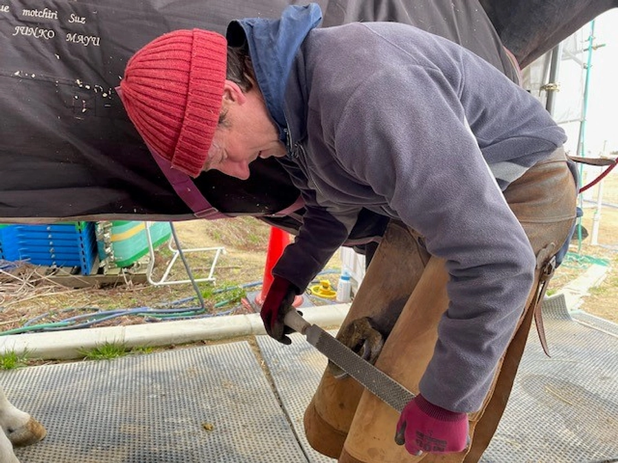 第二の心臓、馬の蹄を徹底管理！