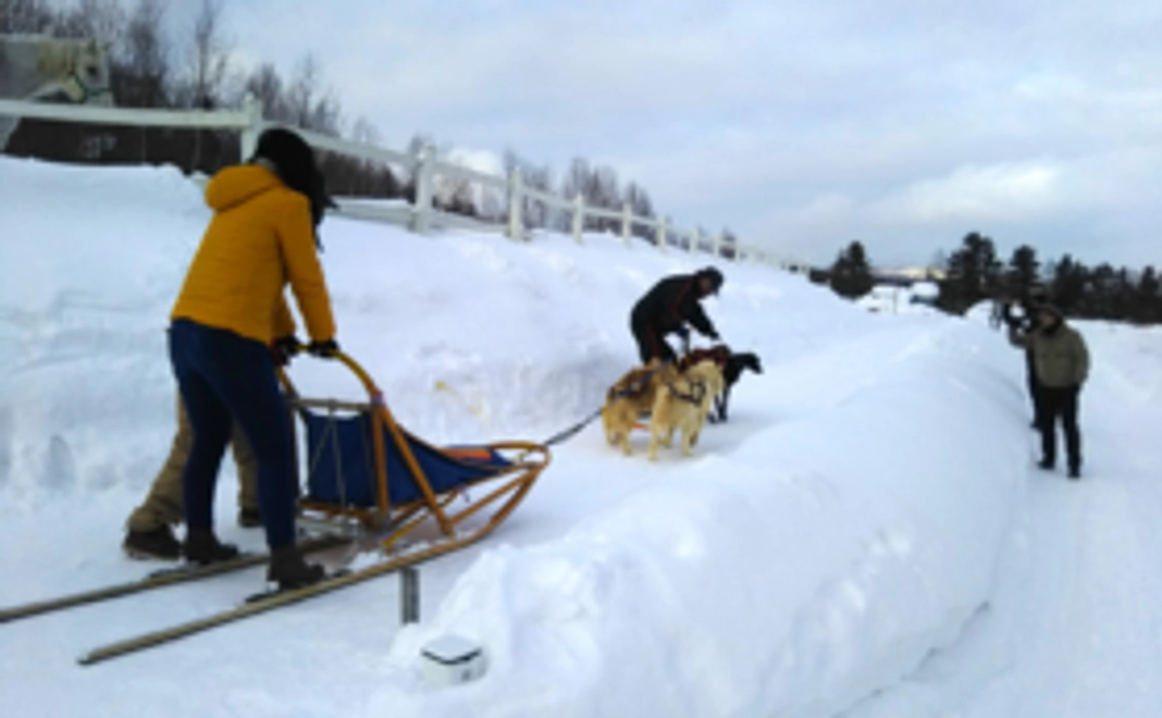 犬ぞり実現応援コース