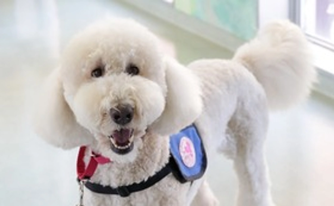 勤務犬育成応援！