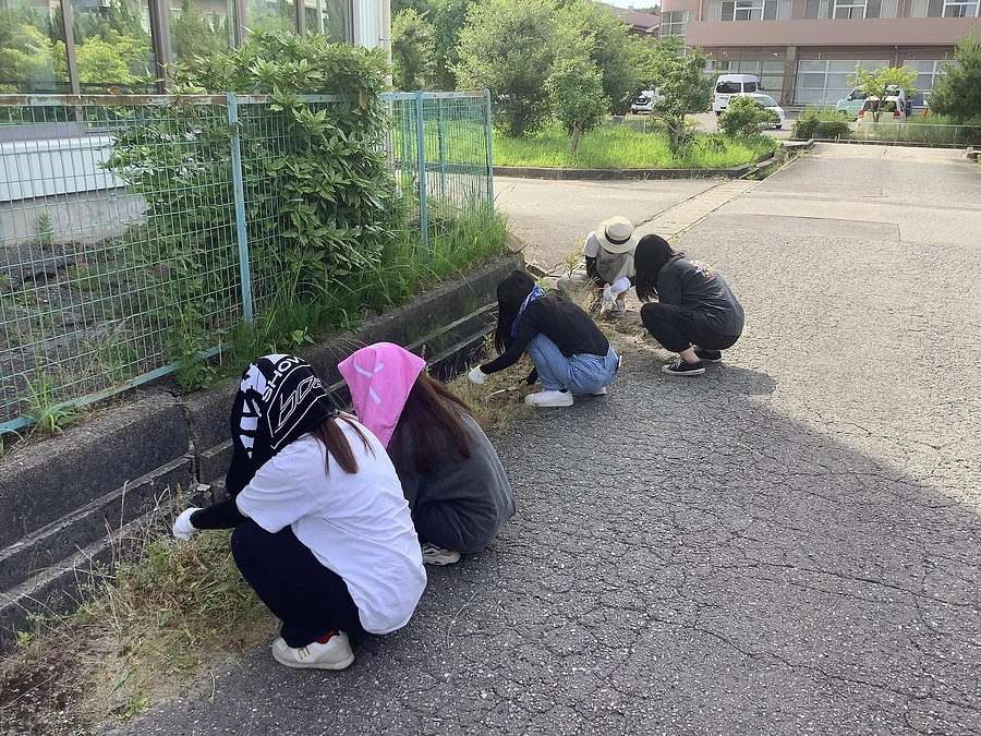 暑い中除草作業　アツ～イ！