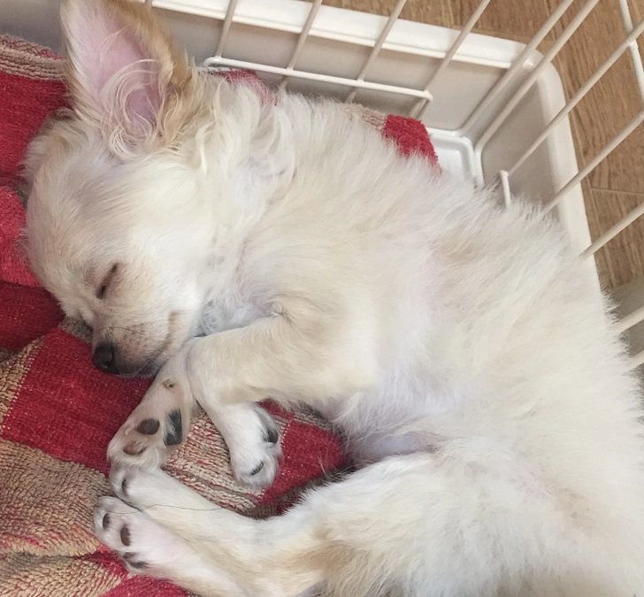 達成率16%になりました。ありがとうございます🙇‍♀️