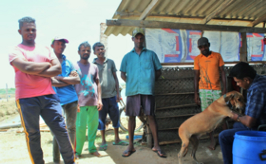 スリランカの未来のために全力サポートコース