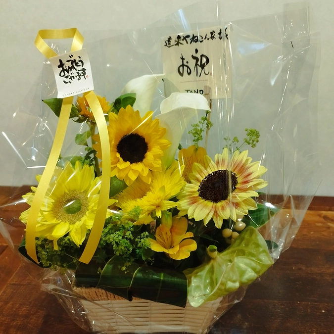 裏ねこお披露目会（２０２３年６月）