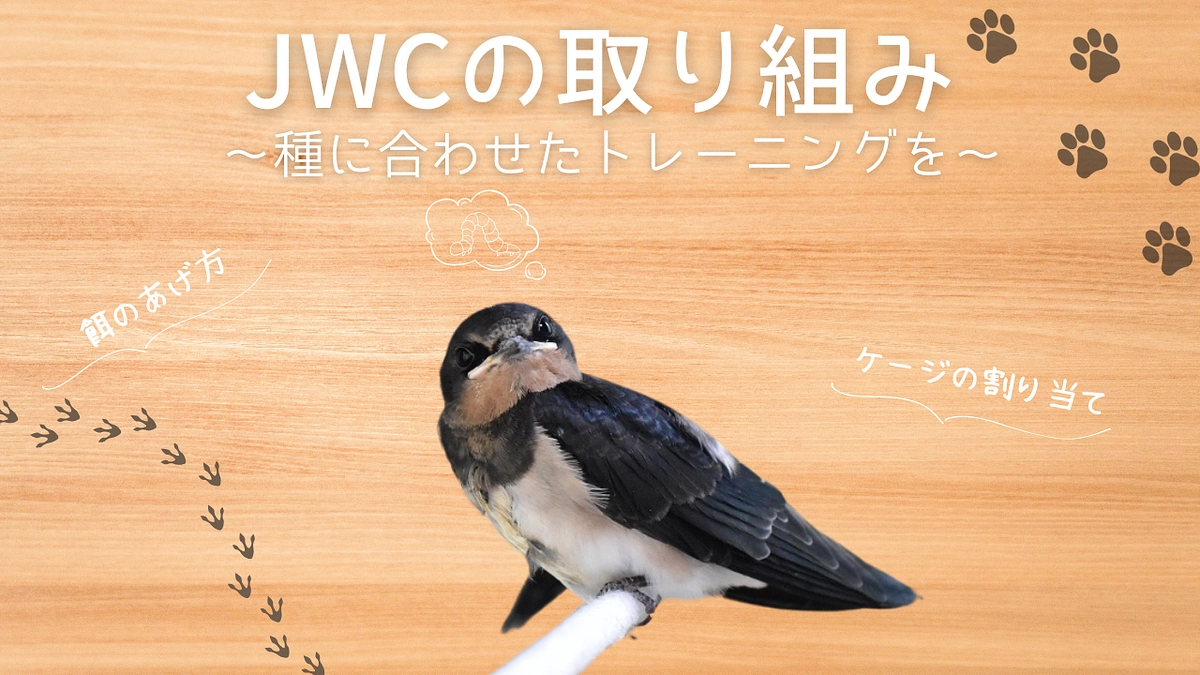 JWCの取り組み　〜種に合わせたトレーニングを〜