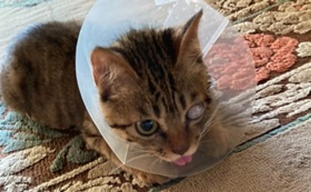 感謝のメール01【ご支援よろしくお願いします】