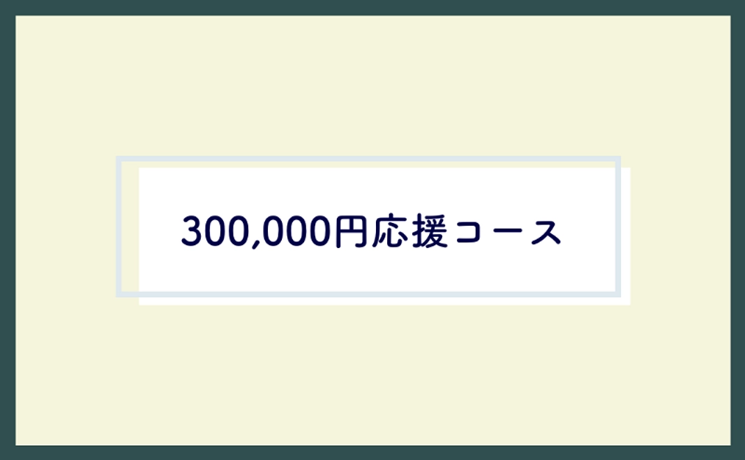 ＜どなたでも＞300,000円応援コース