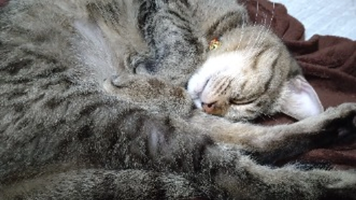 8月21日〈投薬42日目〉