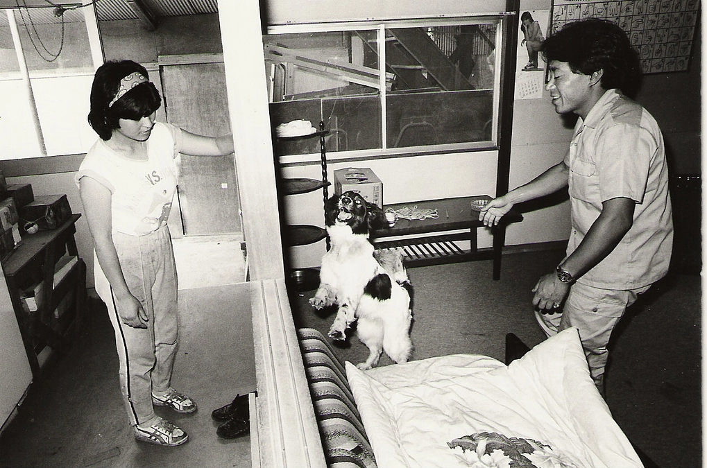 ここまでの軌跡　協会の歩み