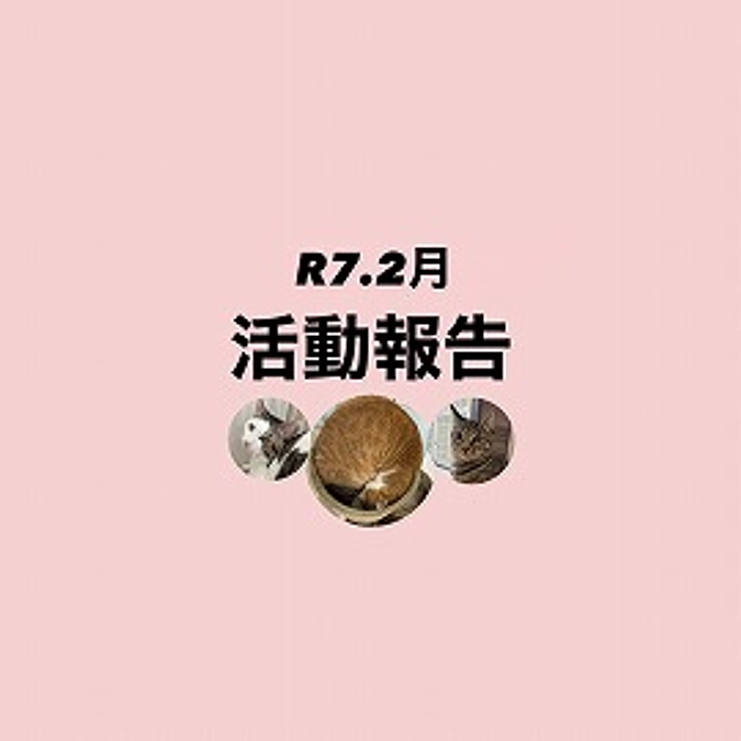 R７．２月活動報告