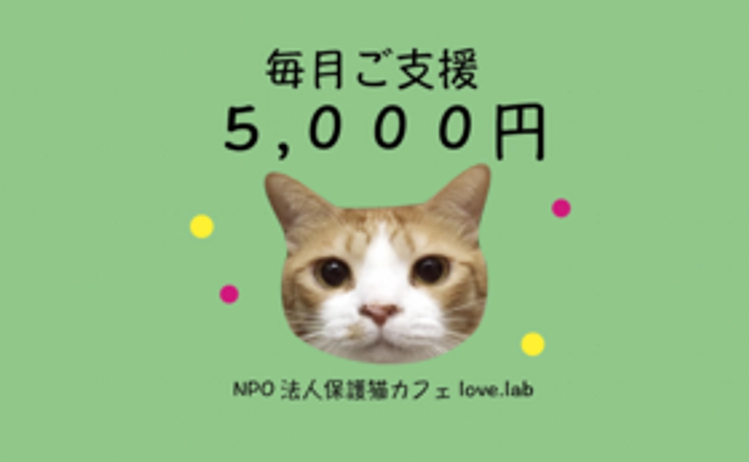 毎月ご支援5,000円コース